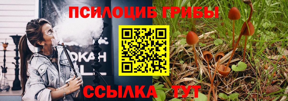 Гагарин  Галлюциногенные грибы Cubensis  Псилоцибиновые грибы GOLDEN TEACHER  Вход с VPN 